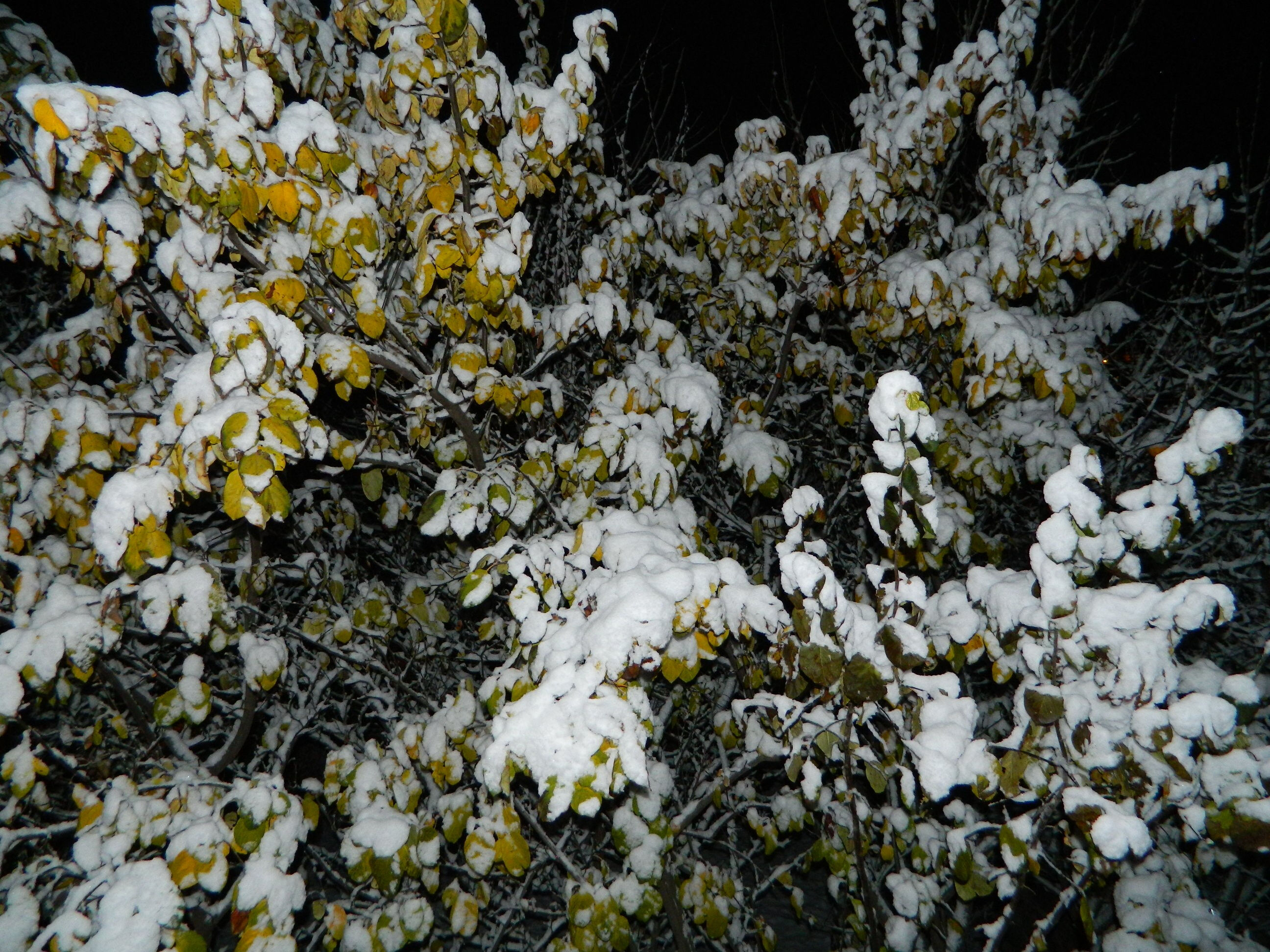 Ardahan’da göz gözü görmedi! Ulaşım aksadı - 3. Resim