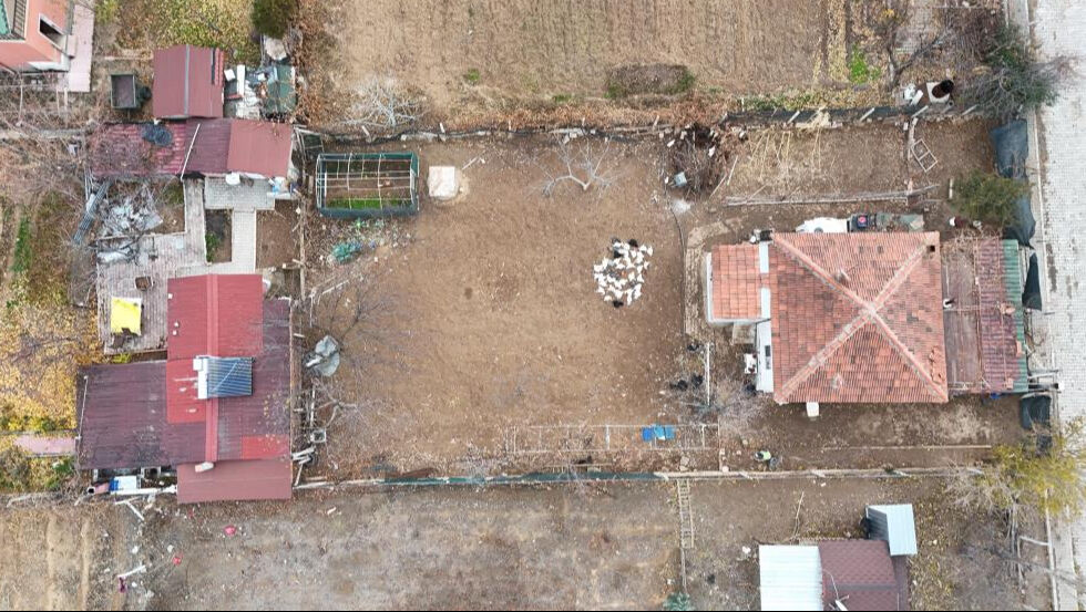 Kırıkkale'de yaşayan Halit Bişkin'e köpek dehşeti şoku! Eve geldiğinde şoke oldu Kırıkkale'de yaşayan Halit Bişkin'e köpek dehşeti şoku! Eve geldiğinde şoke oldu - 3. Resim