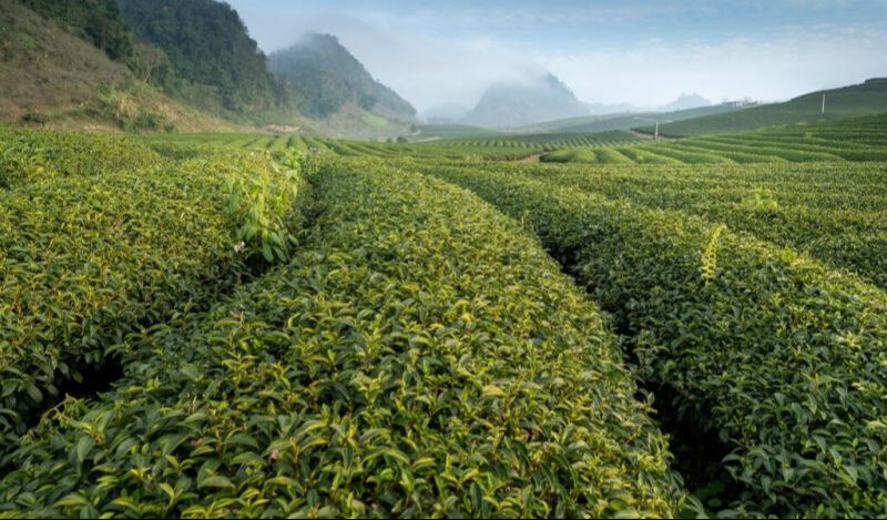 Türkiye'de farklı sermaye aralıklarında kâr getiren iş fikirleri: Hedefinize ulaşın! Türkiye'de farklı sermaye aralıklarında kâr getiren iş fikirleri: Hedefinize ulaşın! - 8. Resim