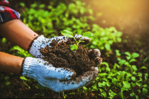 Türkiye'de farklı sermaye aralıklarında kâr getiren iş fikirleri: Hedefinize ulaşın! Türkiye'de farklı sermaye aralıklarında kâr getiren iş fikirleri: Hedefinize ulaşın! - 6. Resim