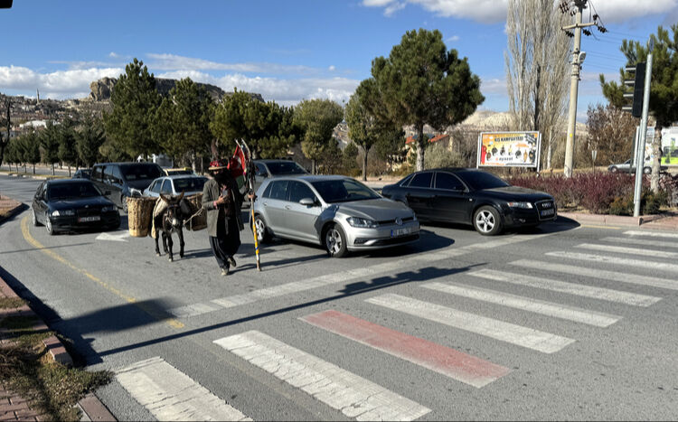 Yıllardır yürüyen adam! Bir elinde asa bir elinde yular şehir şehir dolaşıyor - 2. Resim