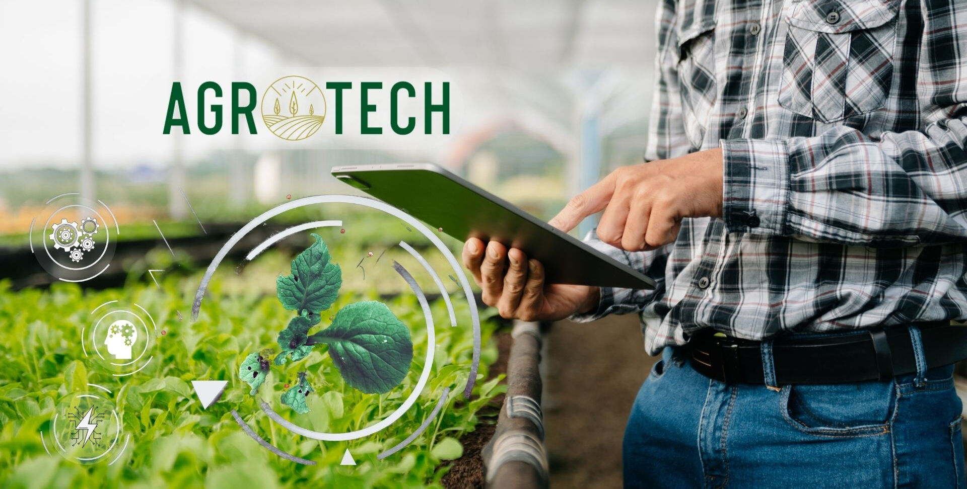 AGROT bedelsiz sermaye artırımı ne zaman? Agrotech KAP bildirimini açıkladı! - 3. Resim