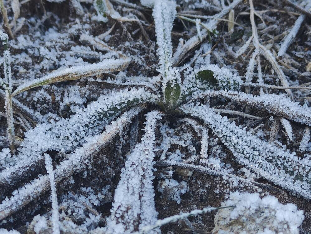 Ardahan buz tuttu, termometreler - 12'yi gördü! Uzmanlardan hayati uyarı geldi - 2. Resim