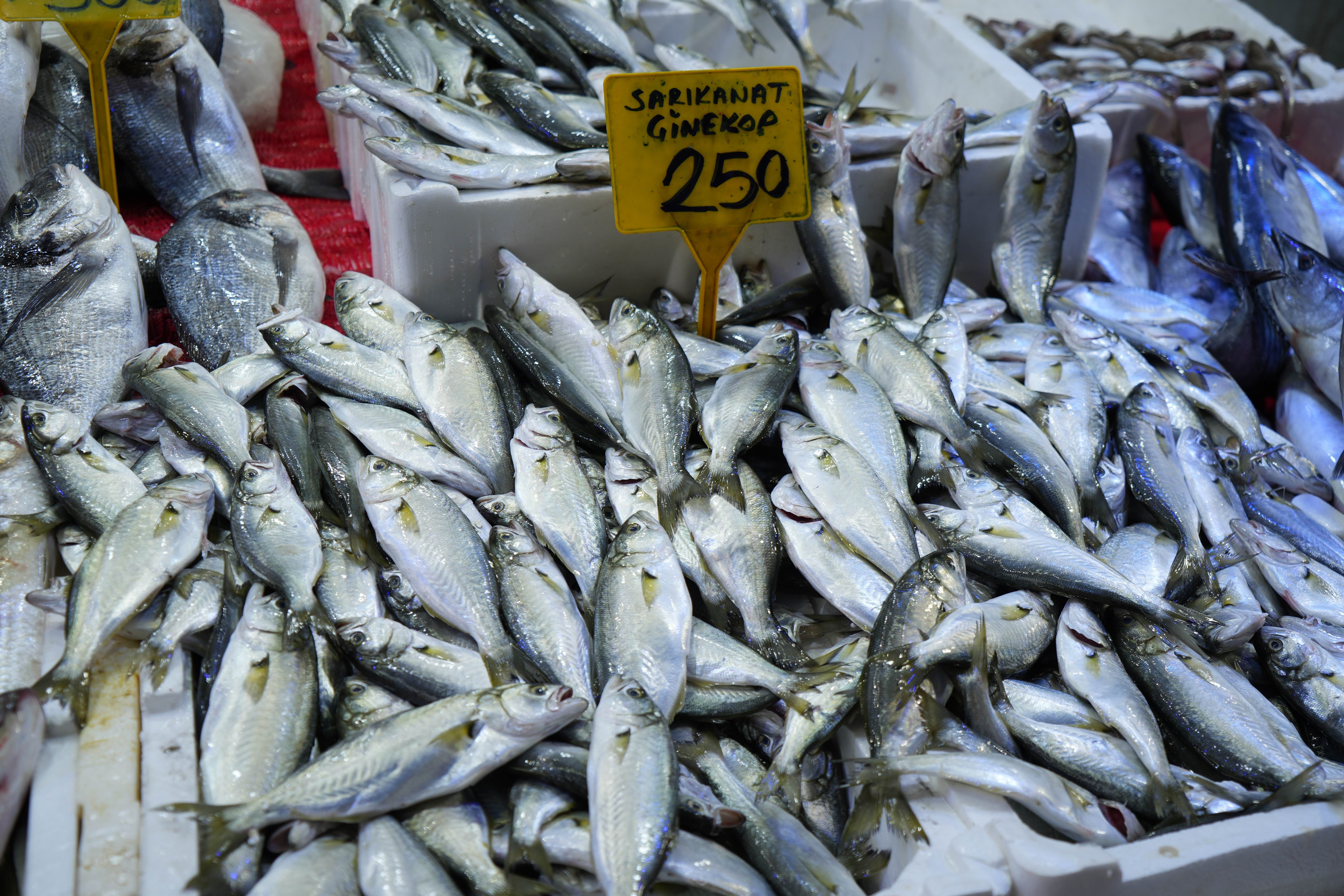 Hem vatandaş hem de balıkçılar şikayetçi! Hamsinin fiyatı 2 katına çıktı - 3. Resim
