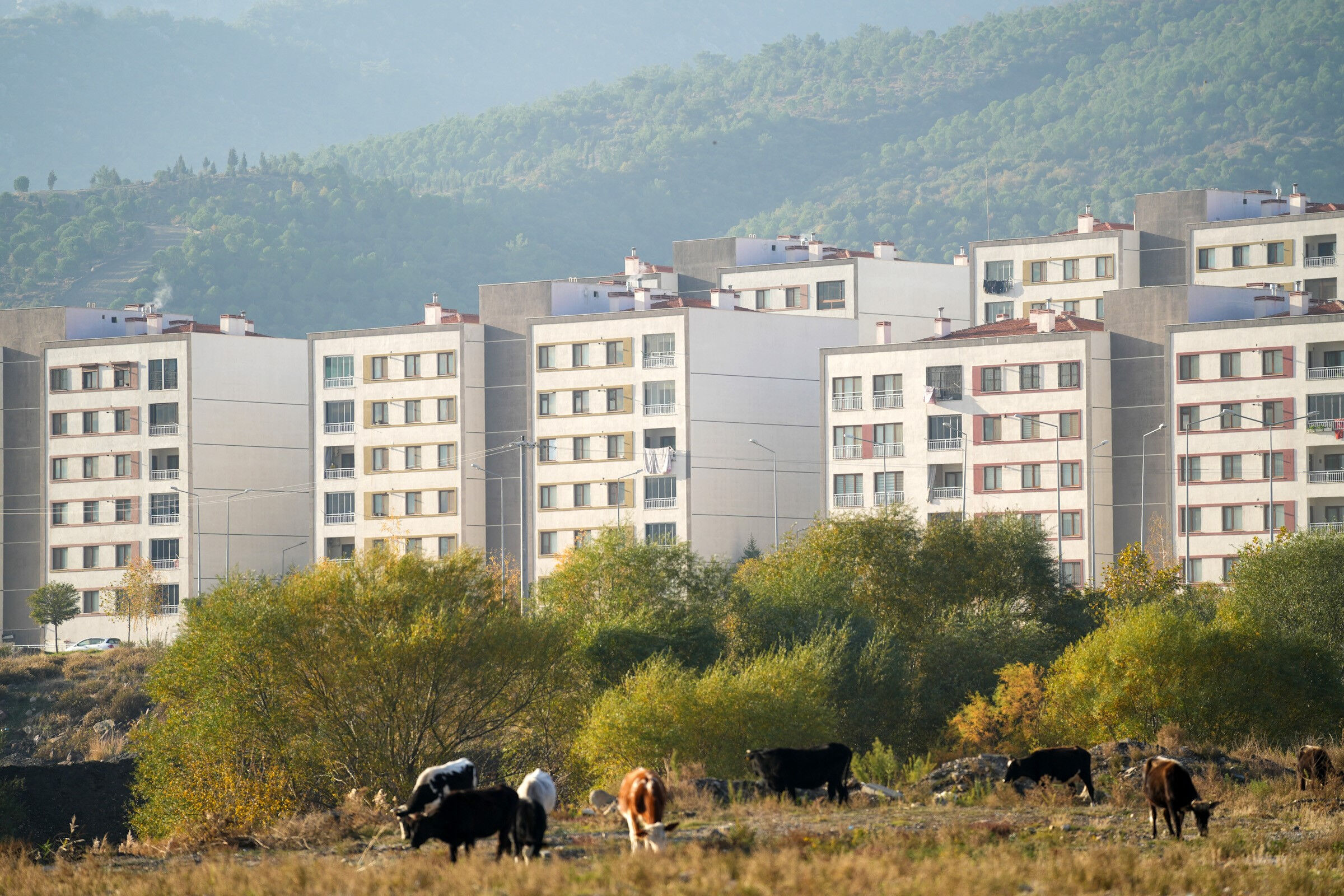 Manisa'da Çin Mahallesi için hazırlıklar başladı: İlk Çin sokağı için yer belli oldu - 4. Resim