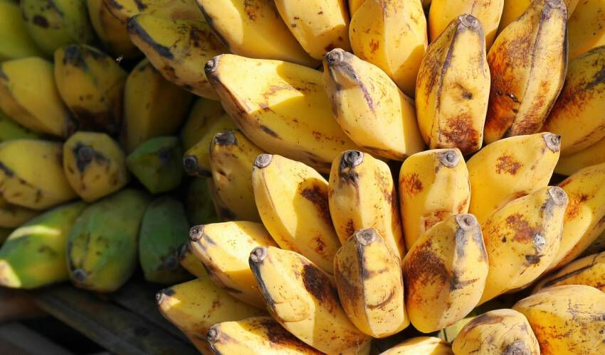 Sabahları yiyoruz ama zararını bilen yok! Kan şekerini anında yükseltiyor Sabahları yiyoruz ama zararını bilen yok! Kan şekerini anında yükseltiyor - 1. Resim