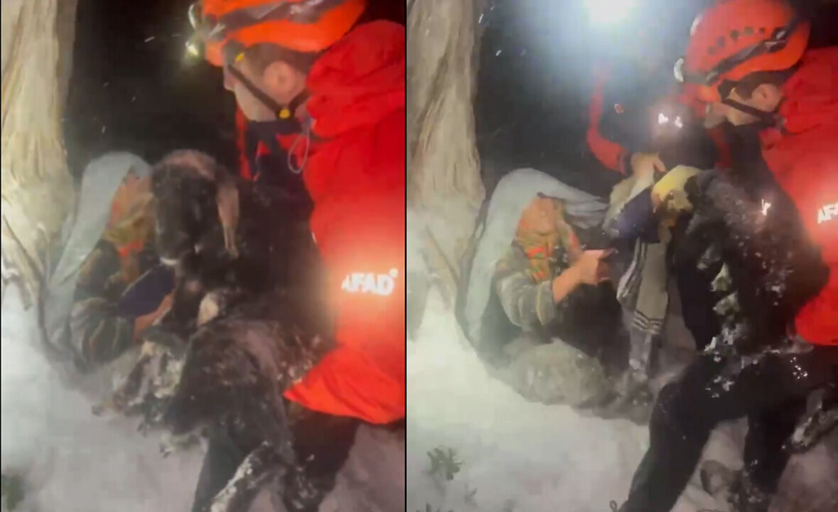 Yılın ilk karda kaybolanları! Konya'da yaylada mahsur kalan yaşlı çift kuzularını bırakmadı - 1. Resim