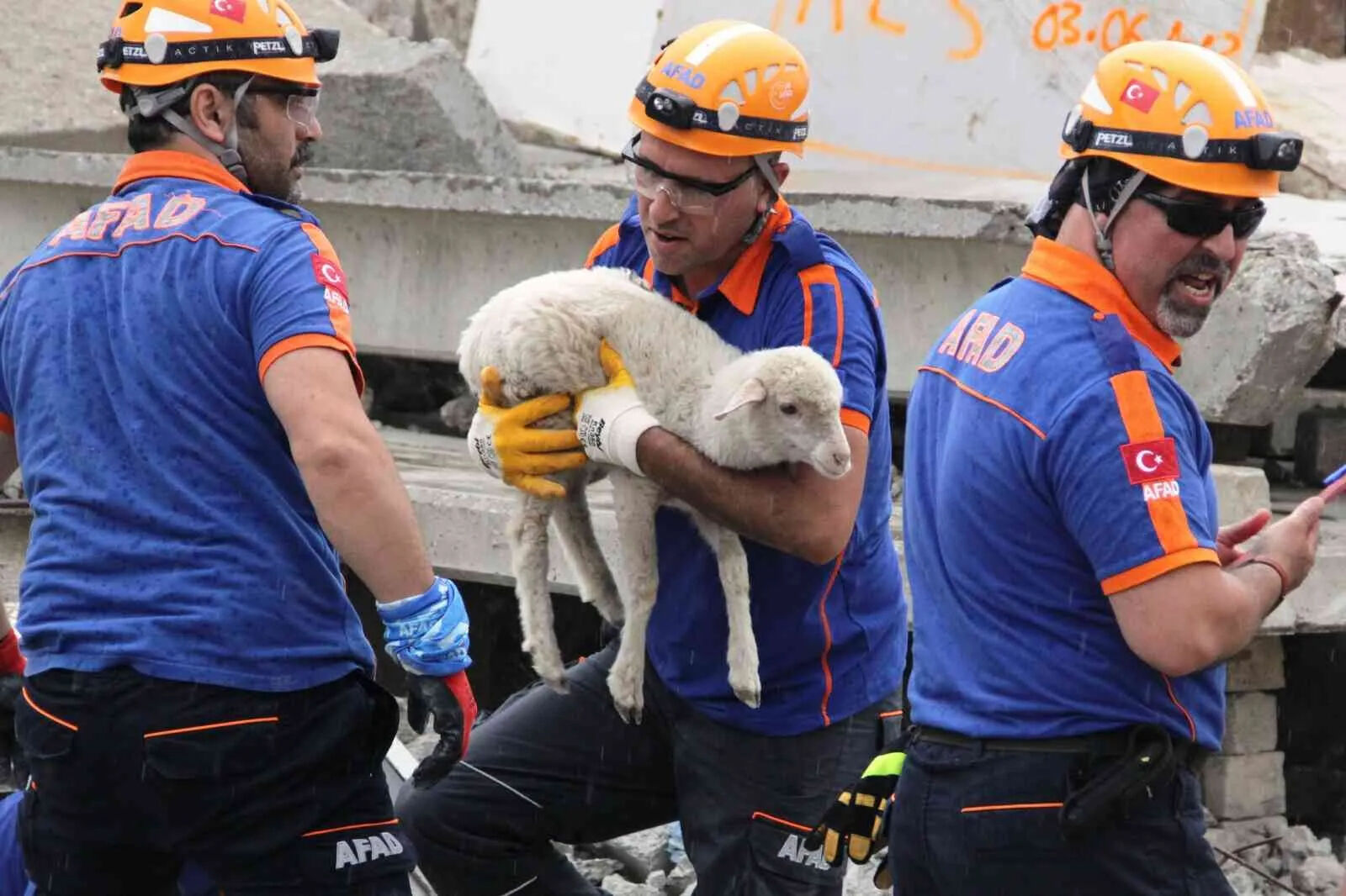 AFAD 1000 personel alımı başvuru tarihi ne zaman, başvuru şartları neler? Arama ve kurtarma teknikerleri alınacak! AFAD 1000 personel alımı başvuru tarihi ne zaman, başvuru şartları neler? Arama ve kurtarma teknikerleri alınacak! - 2. Resim