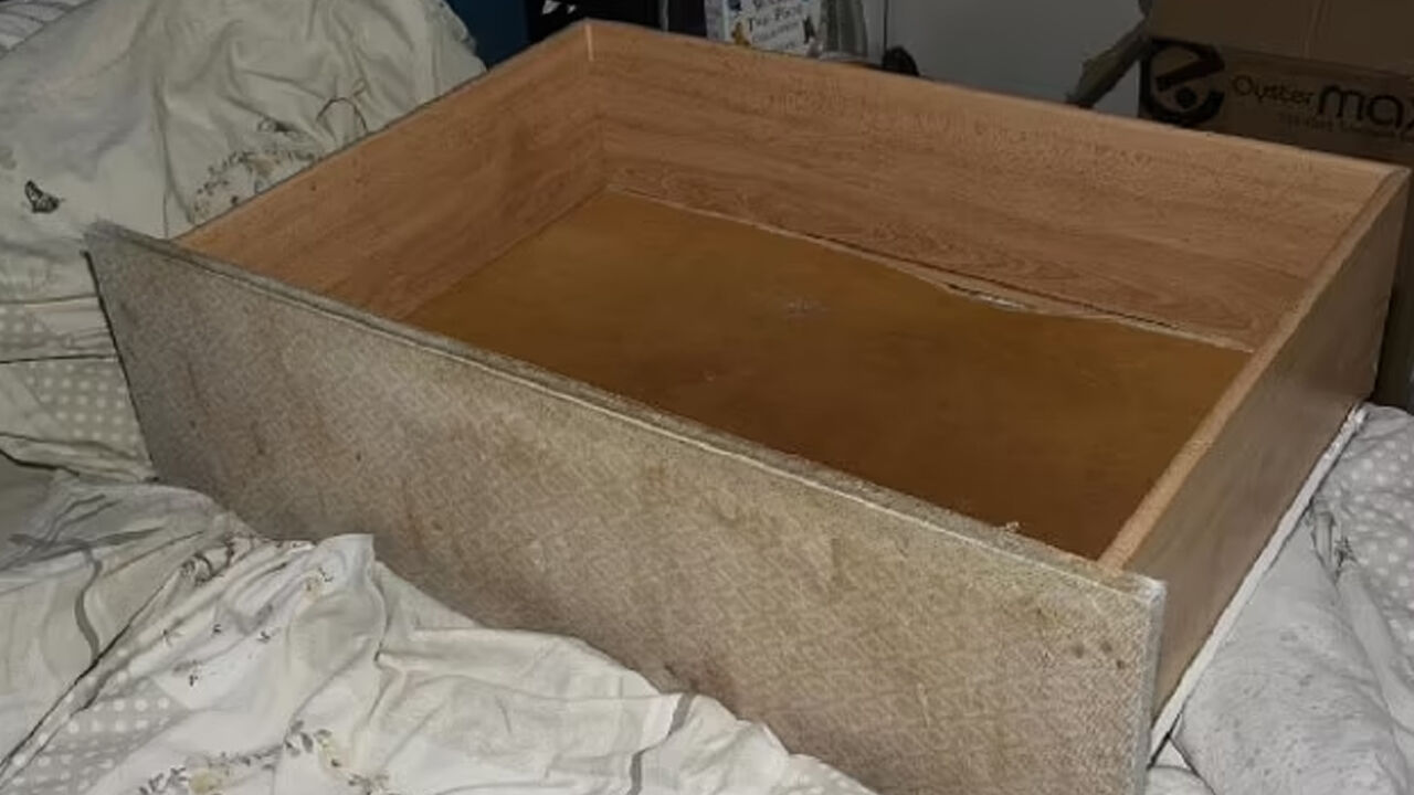 Çocuğunu 3 yıl boyunca çekmecede sakladı! Son halini görenler şoke oldu - 1. Resim