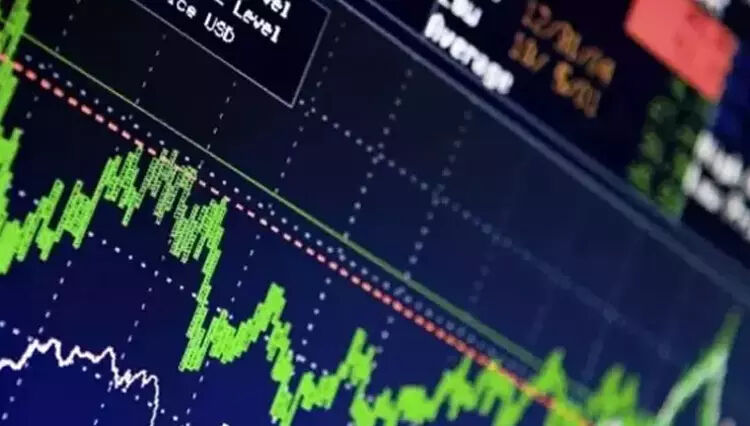 Enerya halka arz sonuçları açıklandı: Yatırımcılar beklemede, ENRYA kaç lot dağıttı? - 2. Resim