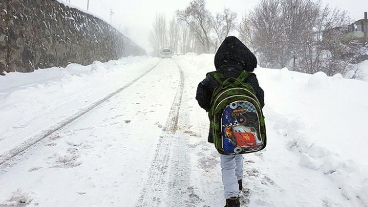 Okulların tatil olduğu iller belli oldu! 27 Kasım Çarşamba okullar tatil mi? - 6. Resim