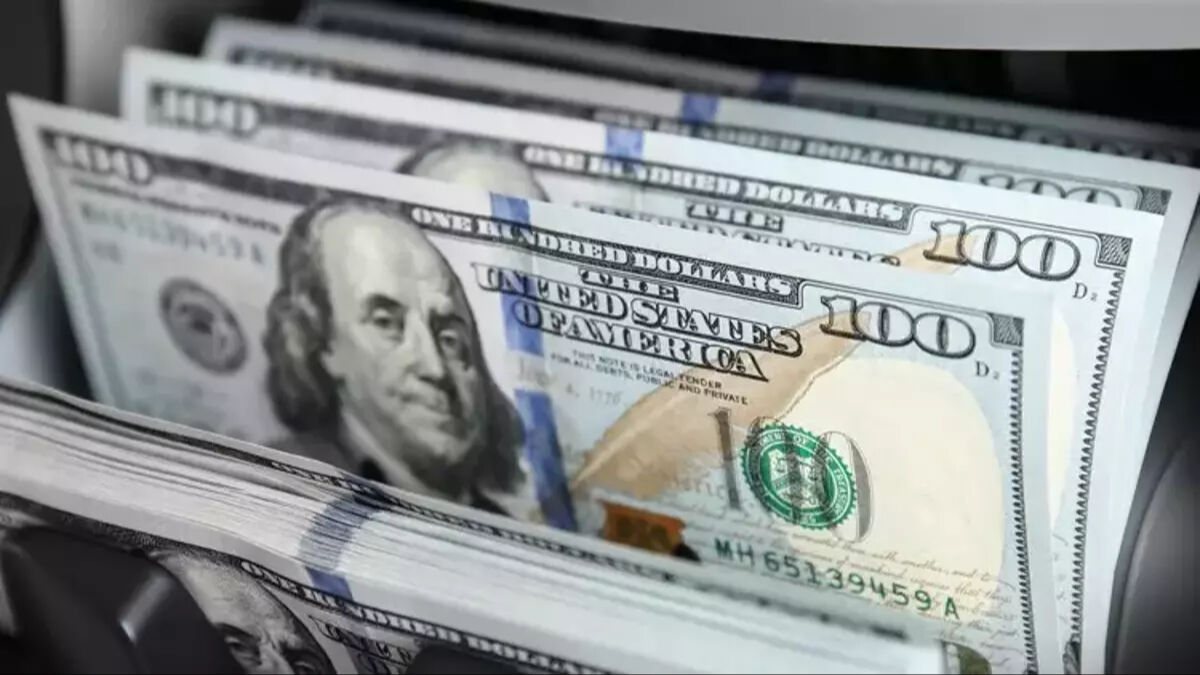 2024 sonu için şaşırtan tahmin! Dolarda son beklentiler ‘dip’ yaptı - 1. Resim