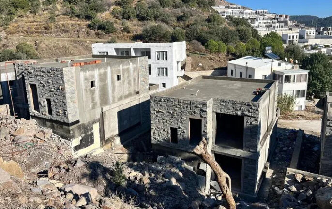 Şarkıcı Suavi'nin villa dikmek için ağaç katliamı yaptığı ortaya çıkmıştı! Bakanlık inceleme başlattı - 3. Resim