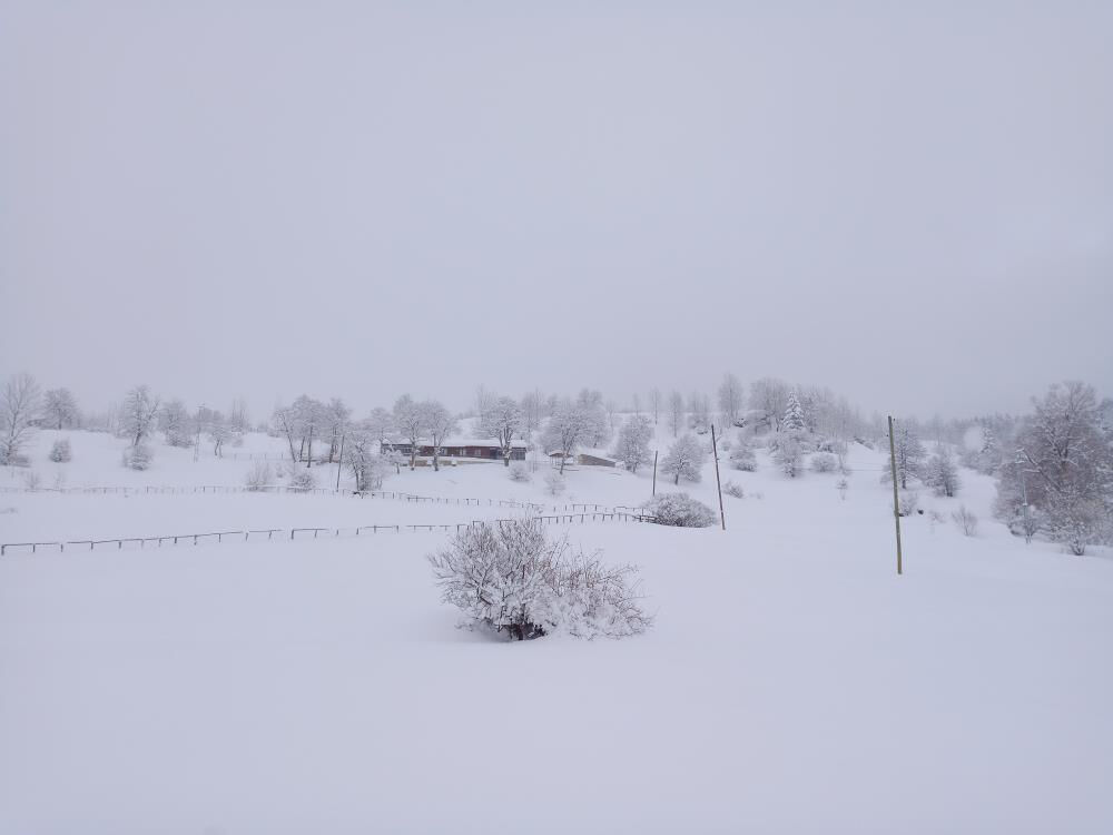 Artvin'de evler kara g&ouml;m&uuml;ld&uuml;! K&ouml;yl&uuml;lerin tek işi &ccedil;atı temizlemek oldu - 1. Resim