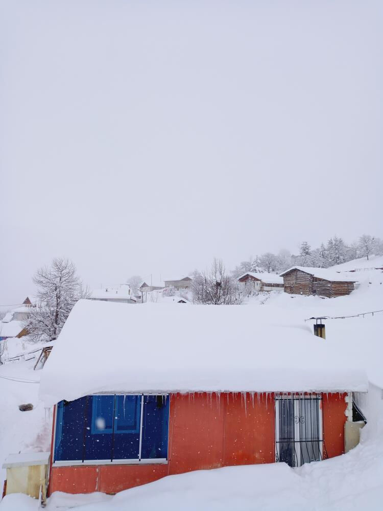 Artvin'de evler kara g&ouml;m&uuml;ld&uuml;! K&ouml;yl&uuml;lerin tek işi &ccedil;atı temizlemek oldu - 3. Resim