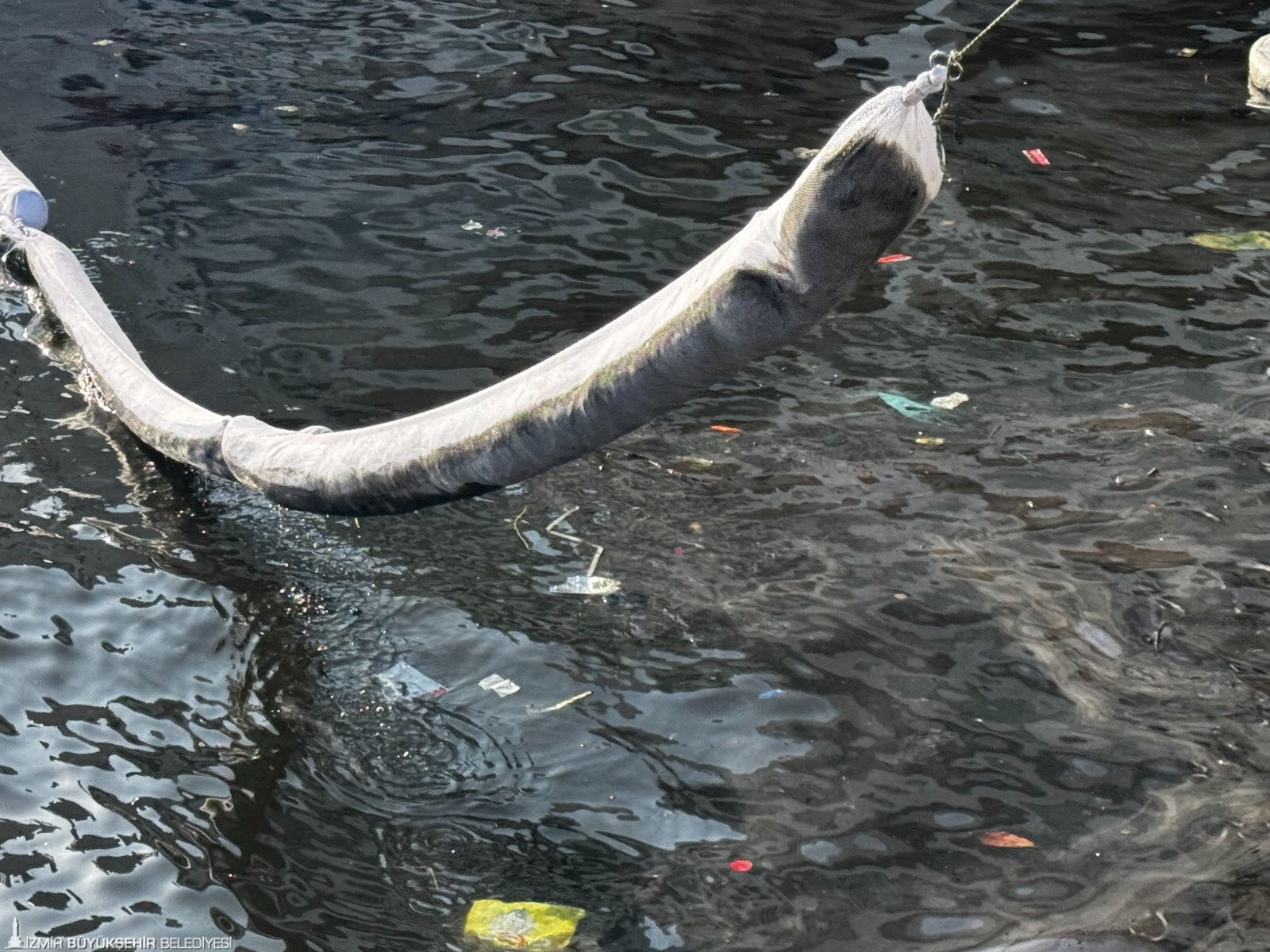 CHP'li belediyede bu defa petrol kaynaklı kirlilik! İzmir Körfezi siyah yağ tabakası ile kaplandı - 2. Resim