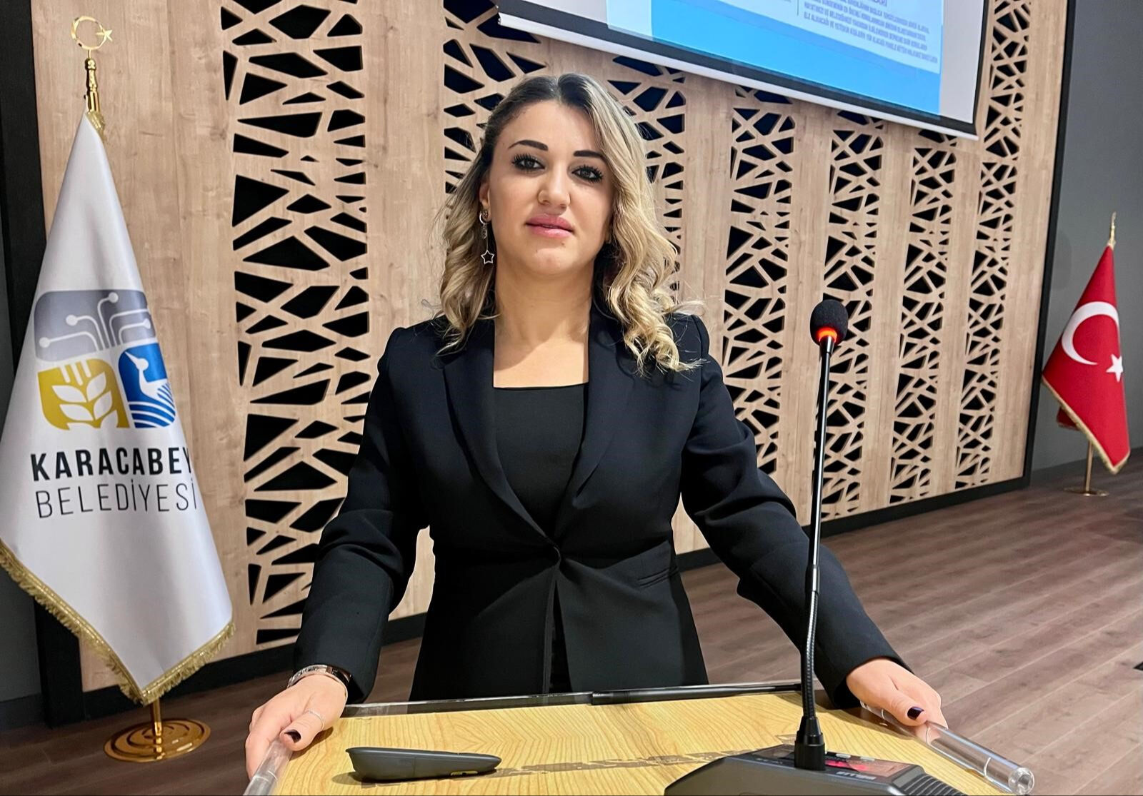 Uzman isim tek tek sayıp 24 ili uyardı: 7'den büyük deprem olabilir - 3. Resim