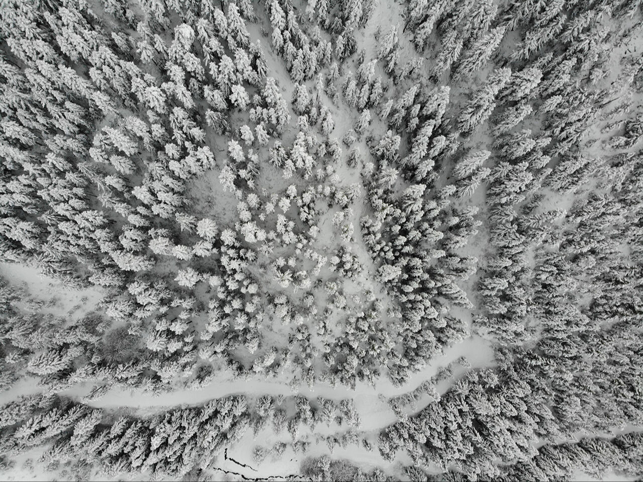 Zigana Dağları beyaza büründü | Arşivlik kareler - 2. Resim