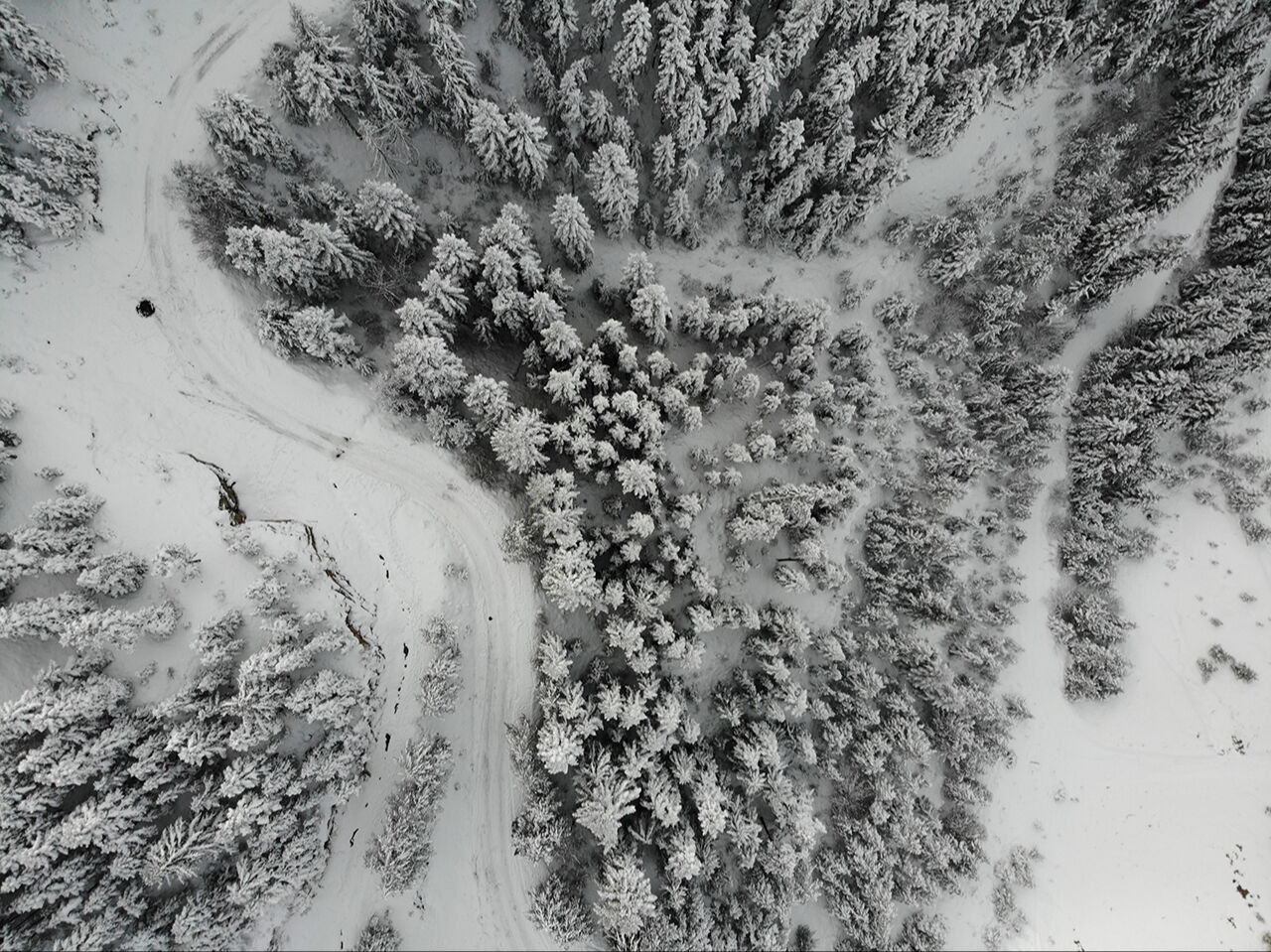 Zigana Dağları beyaza büründü | Arşivlik kareler - 7. Resim
