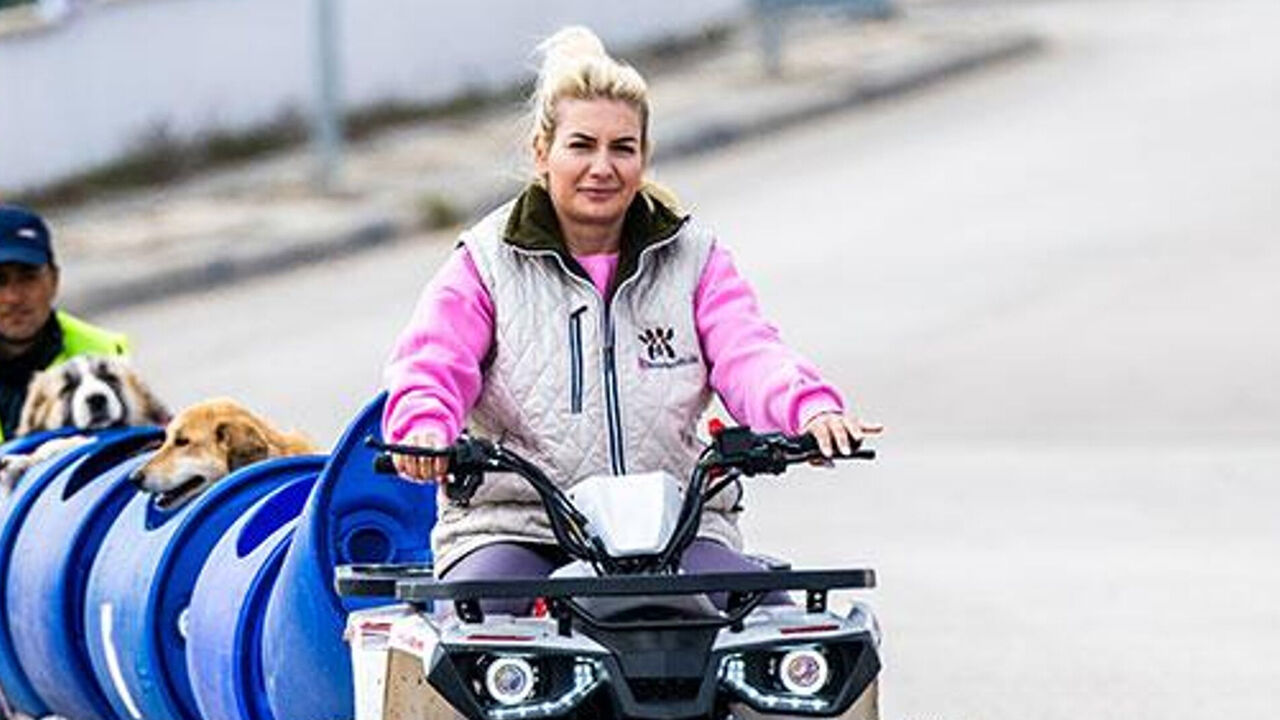 'Köpek Velisi' Buket Özgünlü'den 2 yılda dev vurgun! Bağış paralarıyla yaptıkları şoke etti - 5. Resim