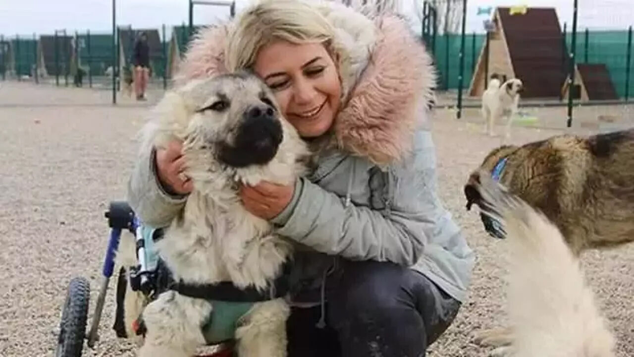 'Köpek Velisi' Buket Özgünlü'den 2 yılda dev vurgun! Bağış paralarıyla yaptıkları şoke etti - 1. Resim