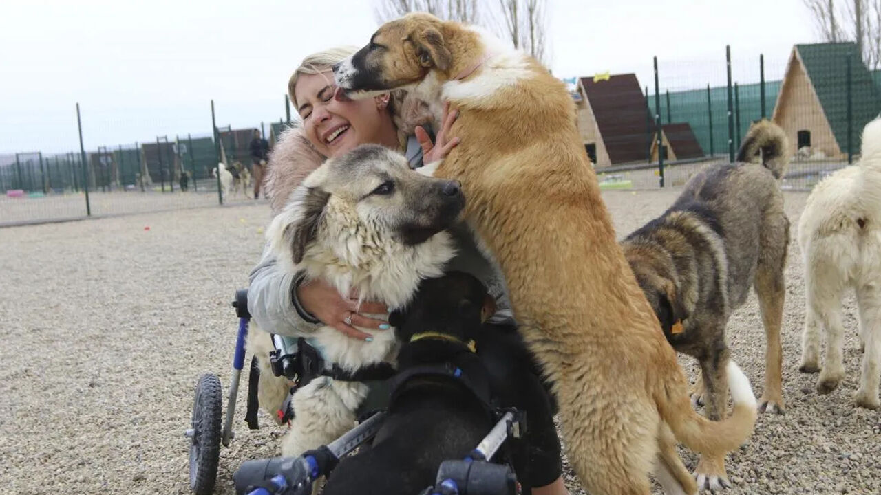 'Köpek Velisi' Buket Özgünlü'den 2 yılda dev vurgun! Bağış paralarıyla yaptıkları şoke etti - 4. Resim