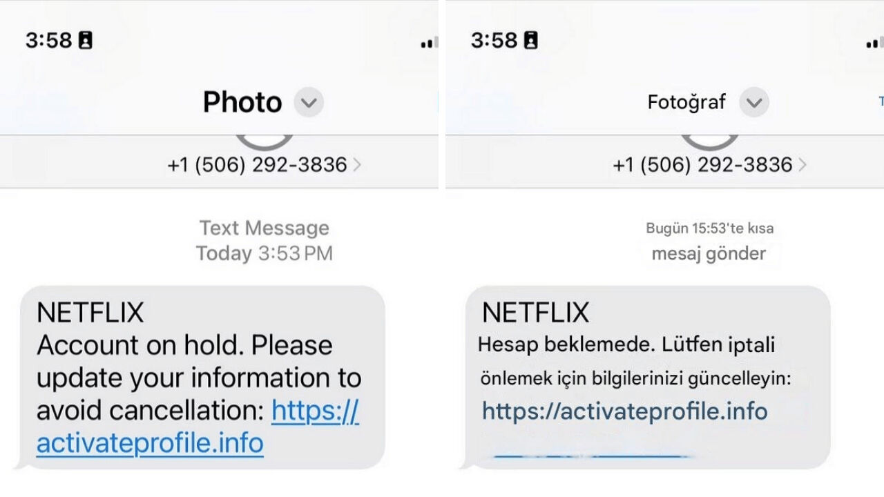 Netflix abonelerinin dikkatine! Dolandırıcıların sıradaki hedefi sizsiniz - 1. Resim