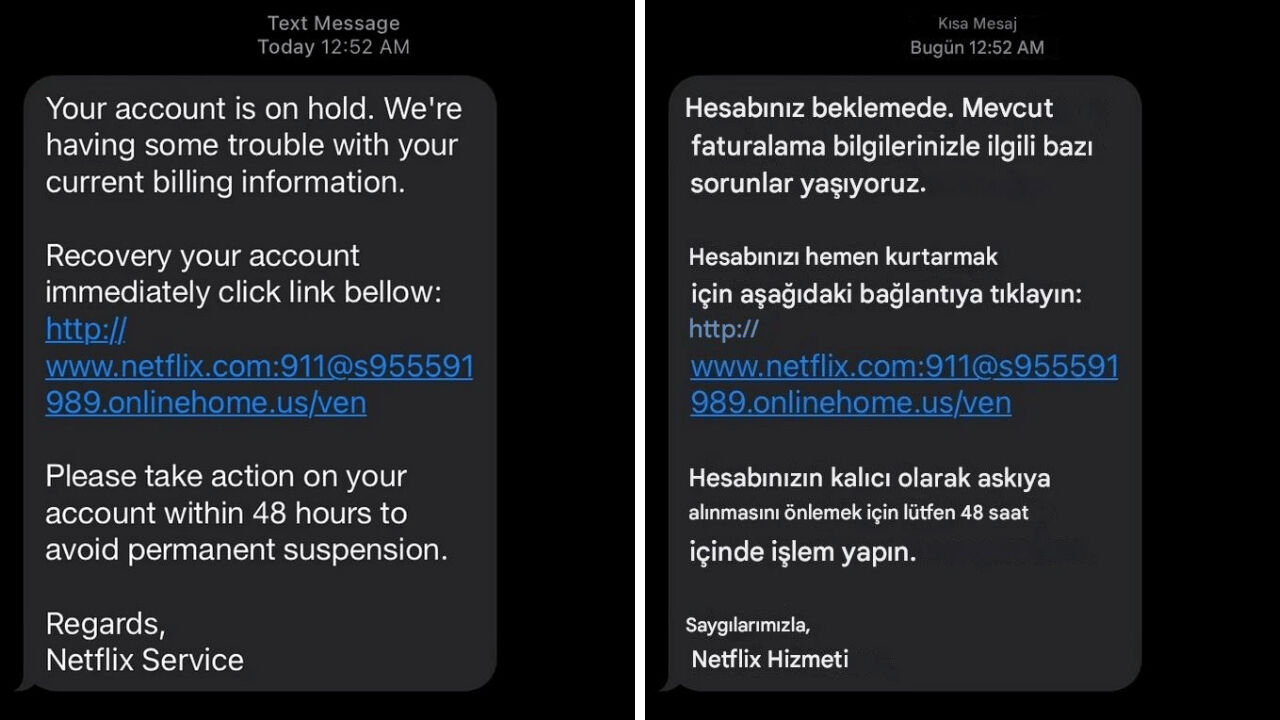 Netflix abonelerinin dikkatine! Dolandırıcıların sıradaki hedefi sizsiniz - 2. Resim