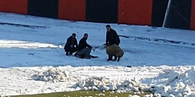 Vanspor FK - Karacabey Belediye Spor maçında eşi benzeri görülmemiş olay! Kale arkasında kurban kestiler Vanspor FK - Karacabey Belediye Spor maçında eşi benzeri görülmemiş olay! Kale arkasında kurban kestiler - 4. Resim