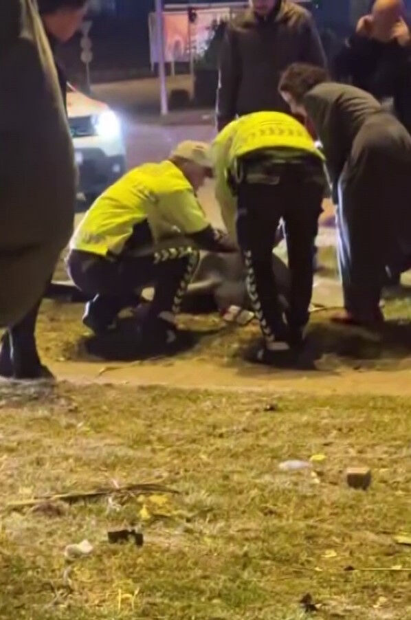 Adana'da feci kaza! Kaptan pilot hayatını kaybetti, yaralılar var - 1. Resim