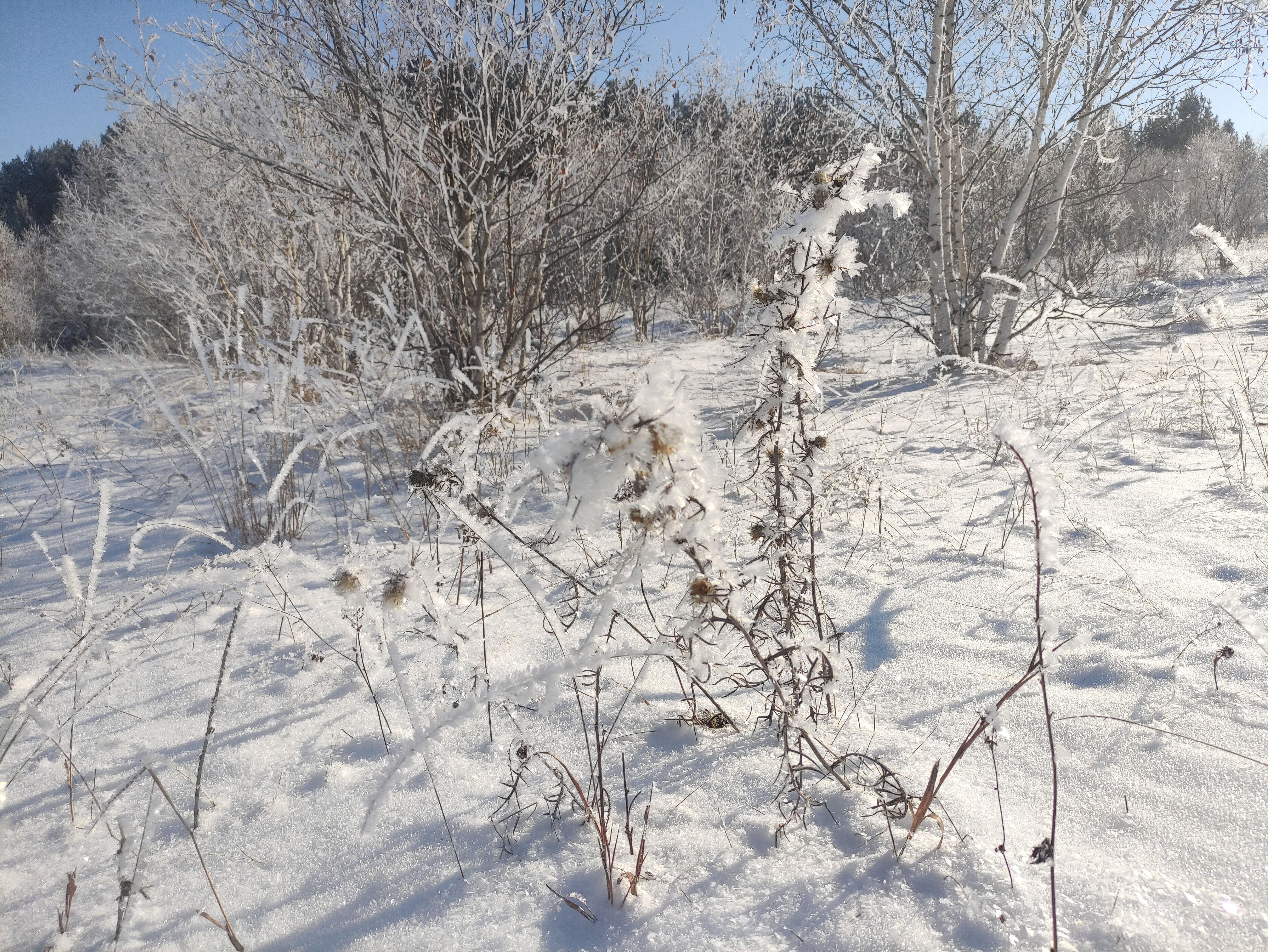 Ardahan’da Sibirya soğukları! Termometreler eksi 22'yi gördü - 2. Resim