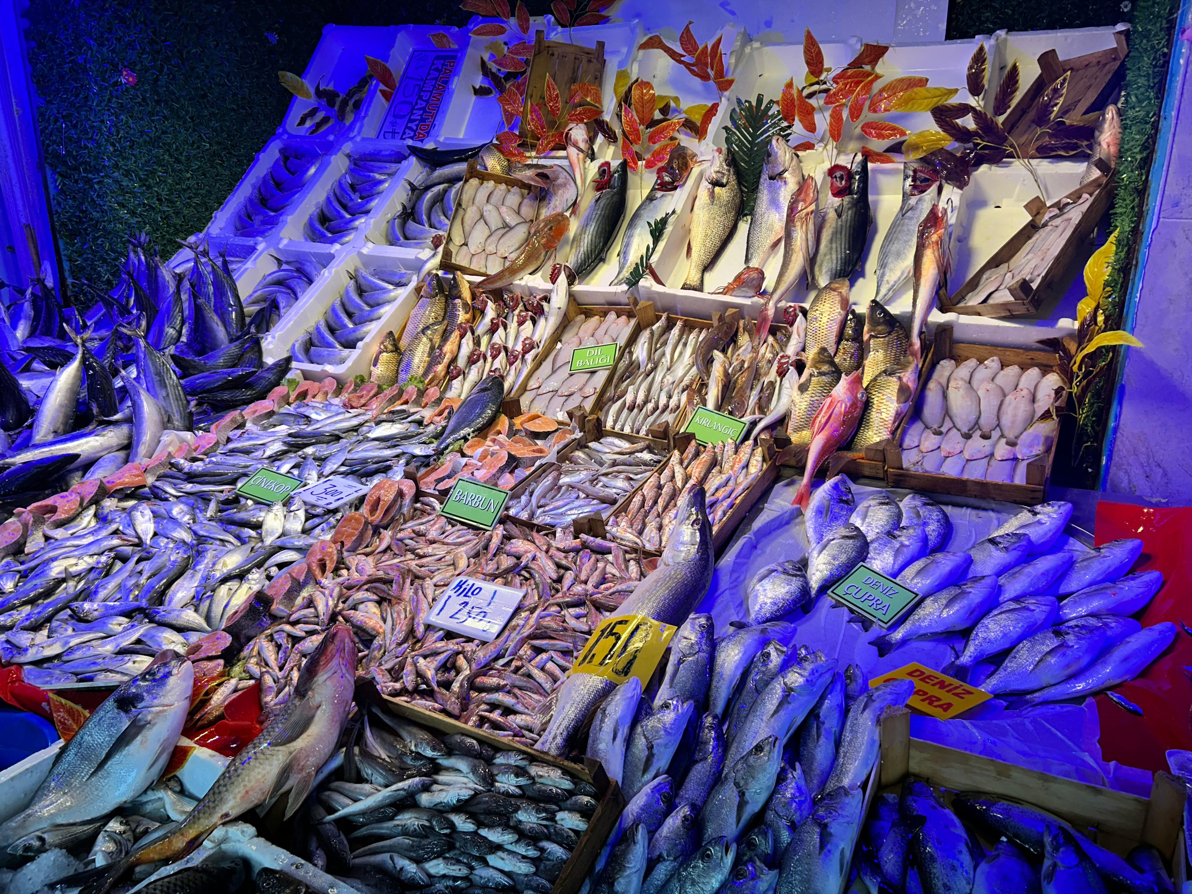 Aynı fiyata daha çok et yemek mümkün! Havalar soğudu, talep arttı Aynı fiyata daha çok et yemek mümkün! Havalar soğudu, talep arttı - 1. Resim