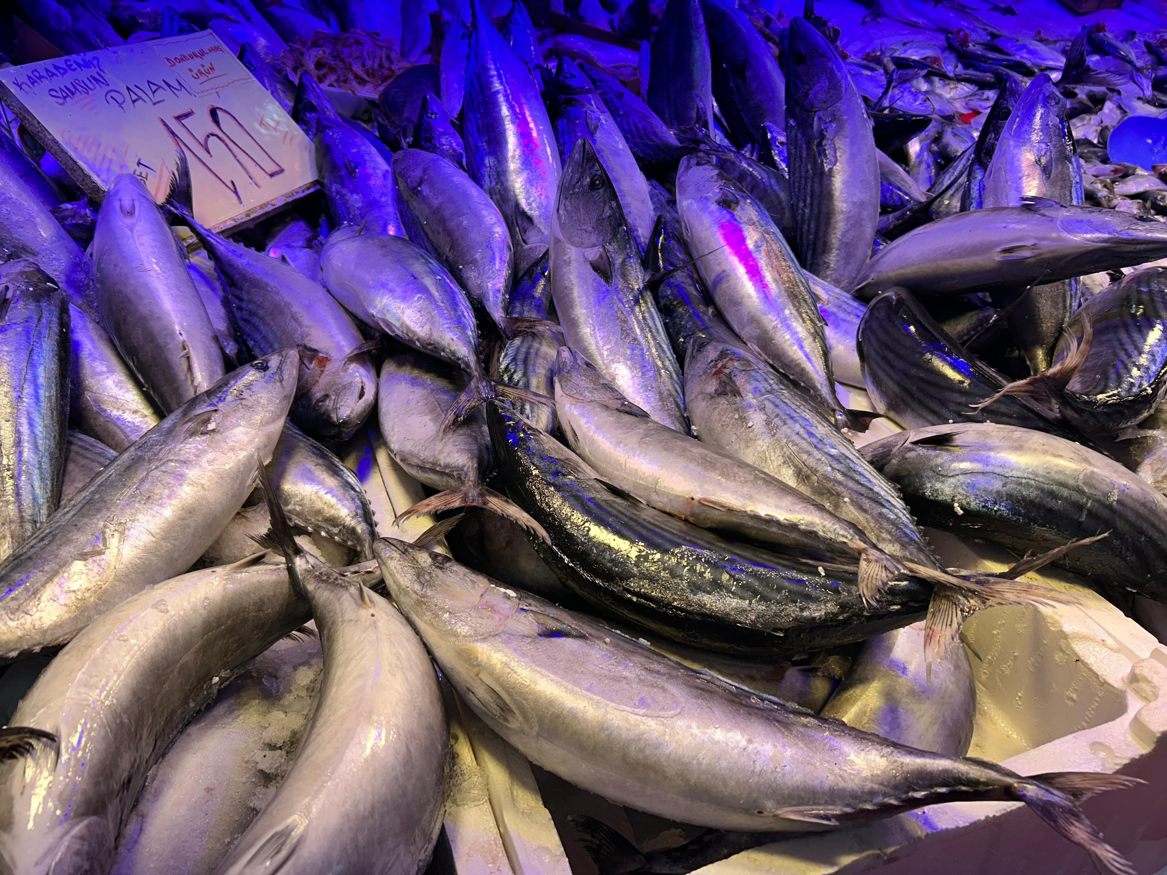 Aynı fiyata daha çok et yemek mümkün! Havalar soğudu, talep arttı Aynı fiyata daha çok et yemek mümkün! Havalar soğudu, talep arttı - 2. Resim