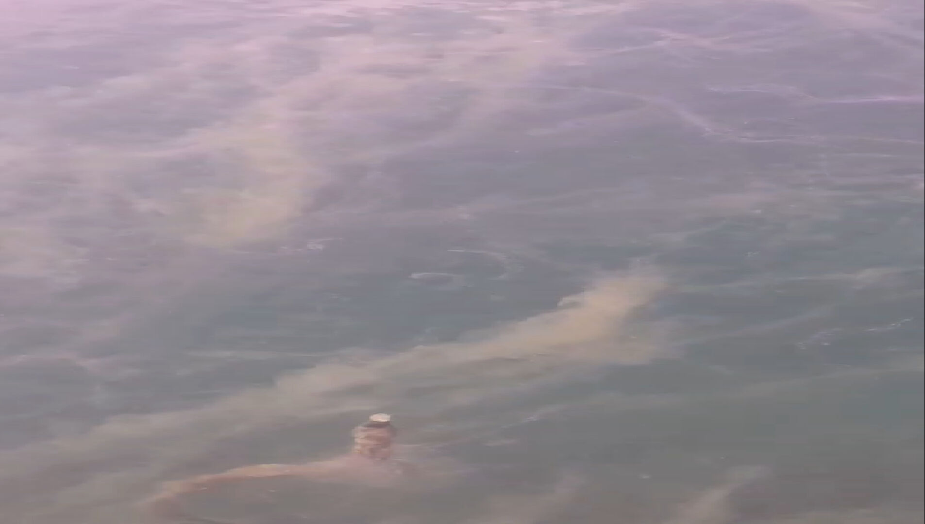 Örümcek ağı gibi Marmara'yı sardı! Müsilaj felaketi geri mi önüyor? - 1. Resim