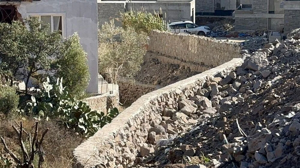 Suavi, korunması ve taşınması gereken ağaçları kesti! Ödeyeceği ceza belli oldu - 3. Resim