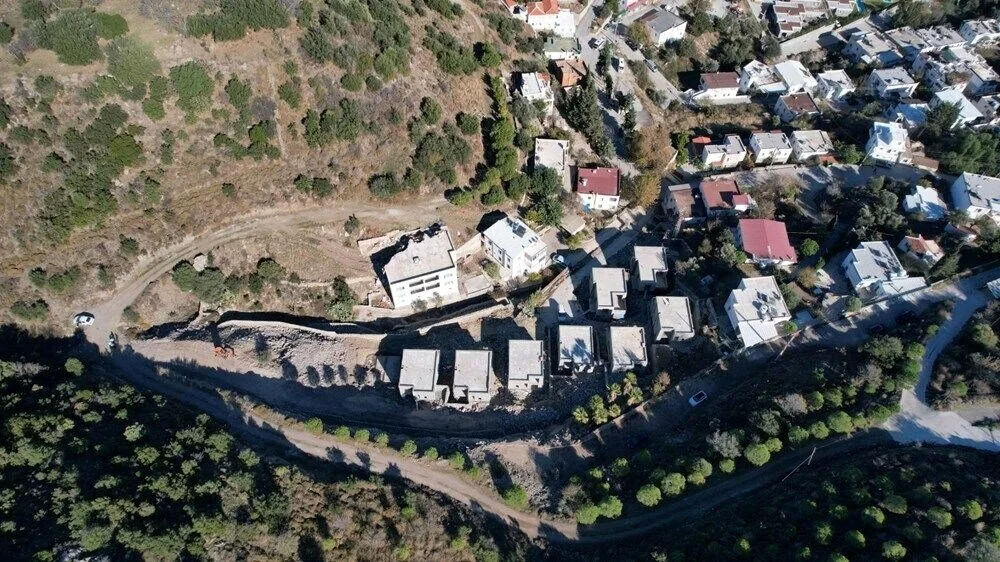 Suavi, korunması ve taşınması gereken ağaçları kesti! Ödeyeceği ceza belli oldu - 1. Resim