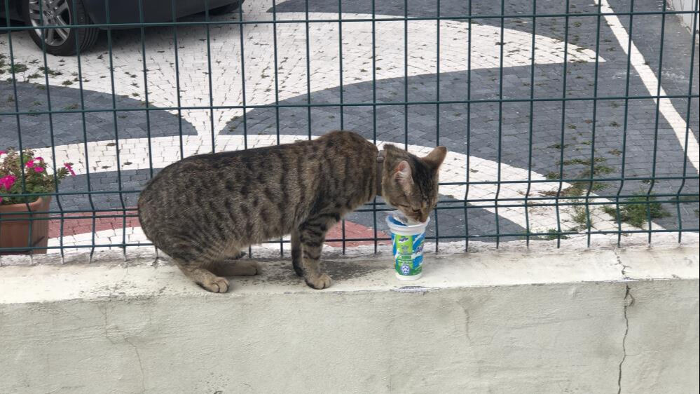 Tekirdağ'da yangın paniği! Bodrum kattaki evden çıkarılan 4 kişi hastanelik oldu - 2. Resim