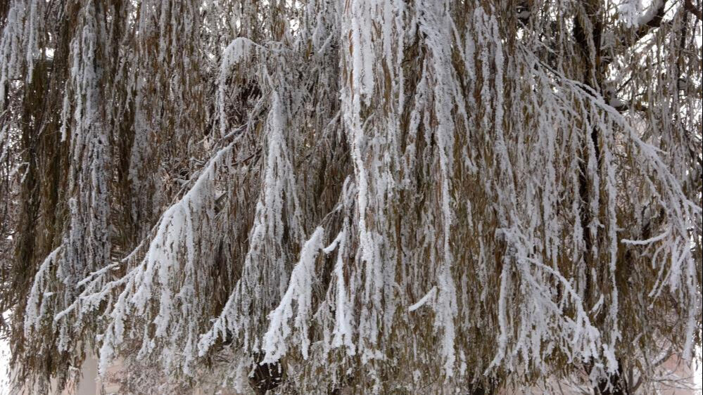 Bitlis, Sibirya'yı aratmadı! Hava sıcaklıkları - 20'yi gördü, kent buz müzesine döndü - 4. Resim