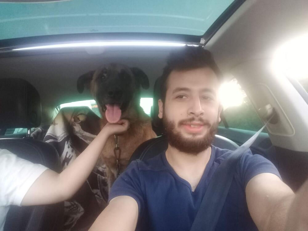 Henüz 6 aylık evliydiler, birlikte can verdiler! Cansız bedenlerini Max bulmuştu, vefası gözleri yaşarttı - 1. Resim