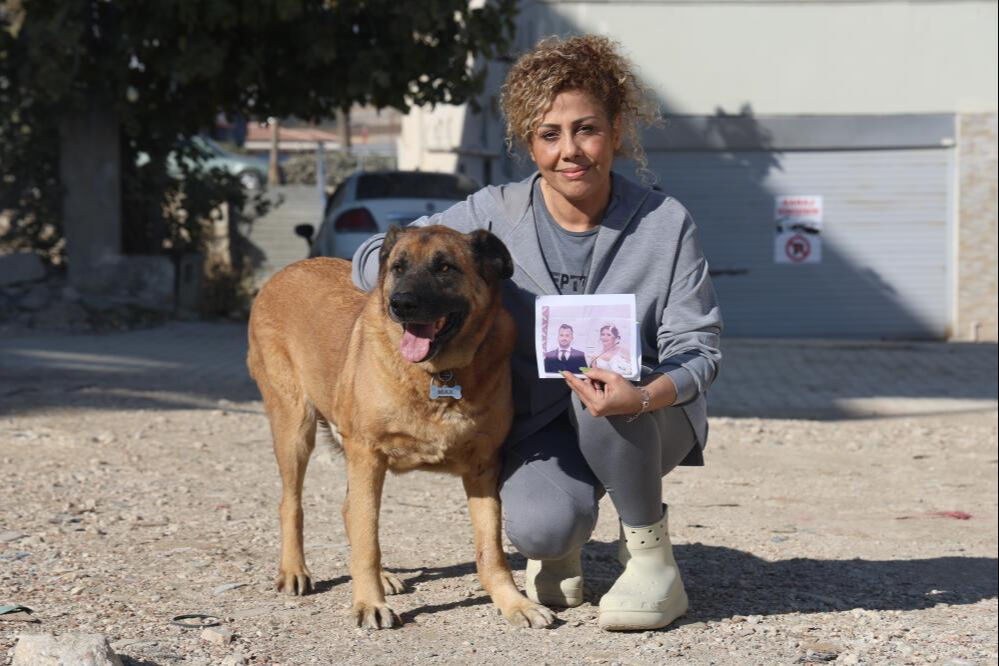 Henüz 6 aylık evliydiler, birlikte can verdiler! Cansız bedenlerini Max bulmuştu, vefası gözleri yaşarttı - 5. Resim