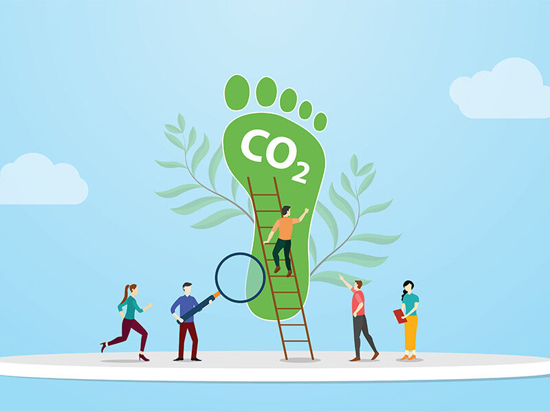 Karbon ayak izi hesaplama: Hangi kriterler bu iklim politikasını belirliyor? Karbon ayak izi hesaplama: Hangi kriterler bu iklim politikasını belirliyor? - 4. Resim