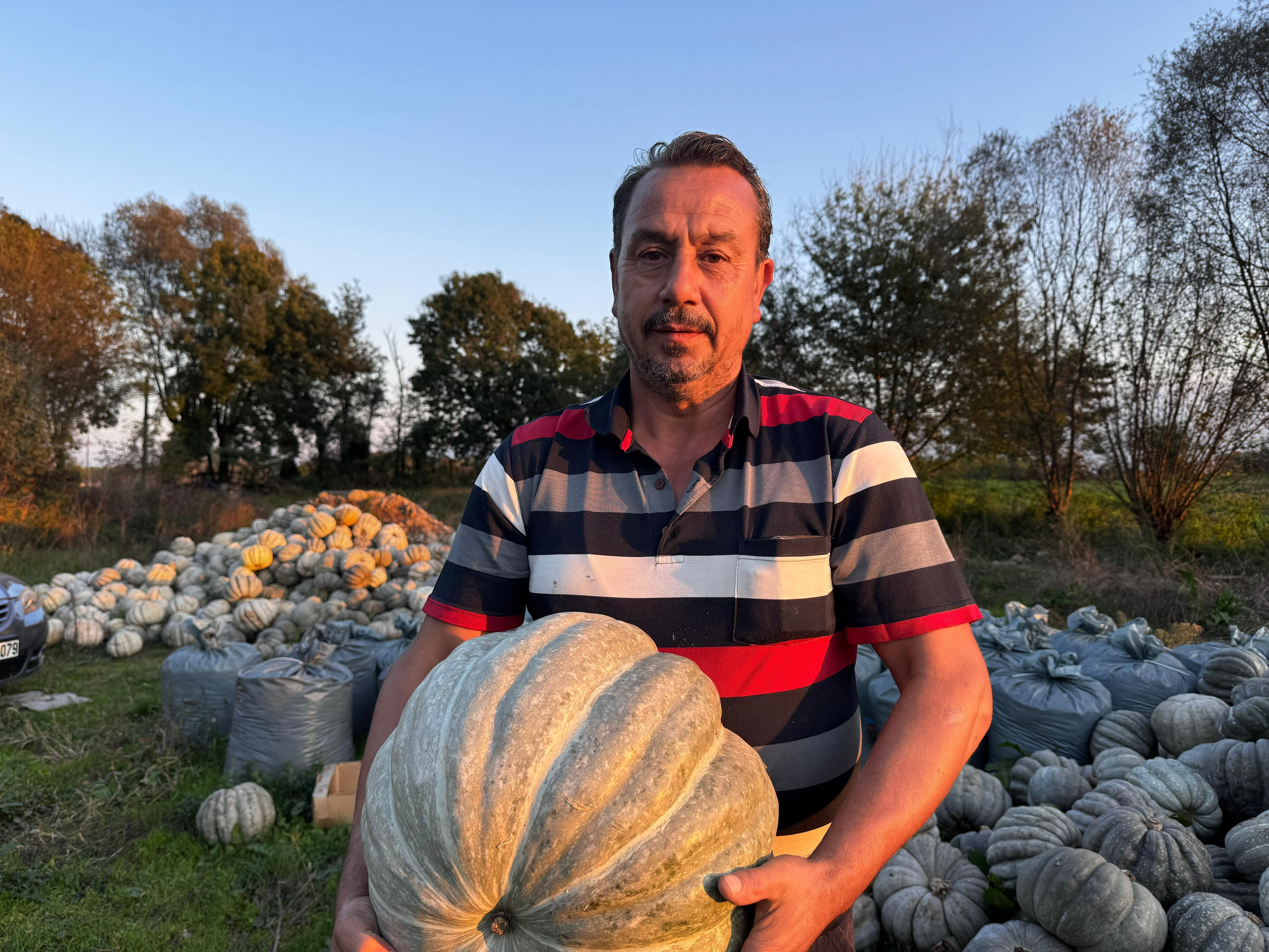 Kilosu 10 liradan tezgaha indi! Trileçesi ve döneri bile yapılıyor, tadını bilenler sıraya giriyor - 2. Resim