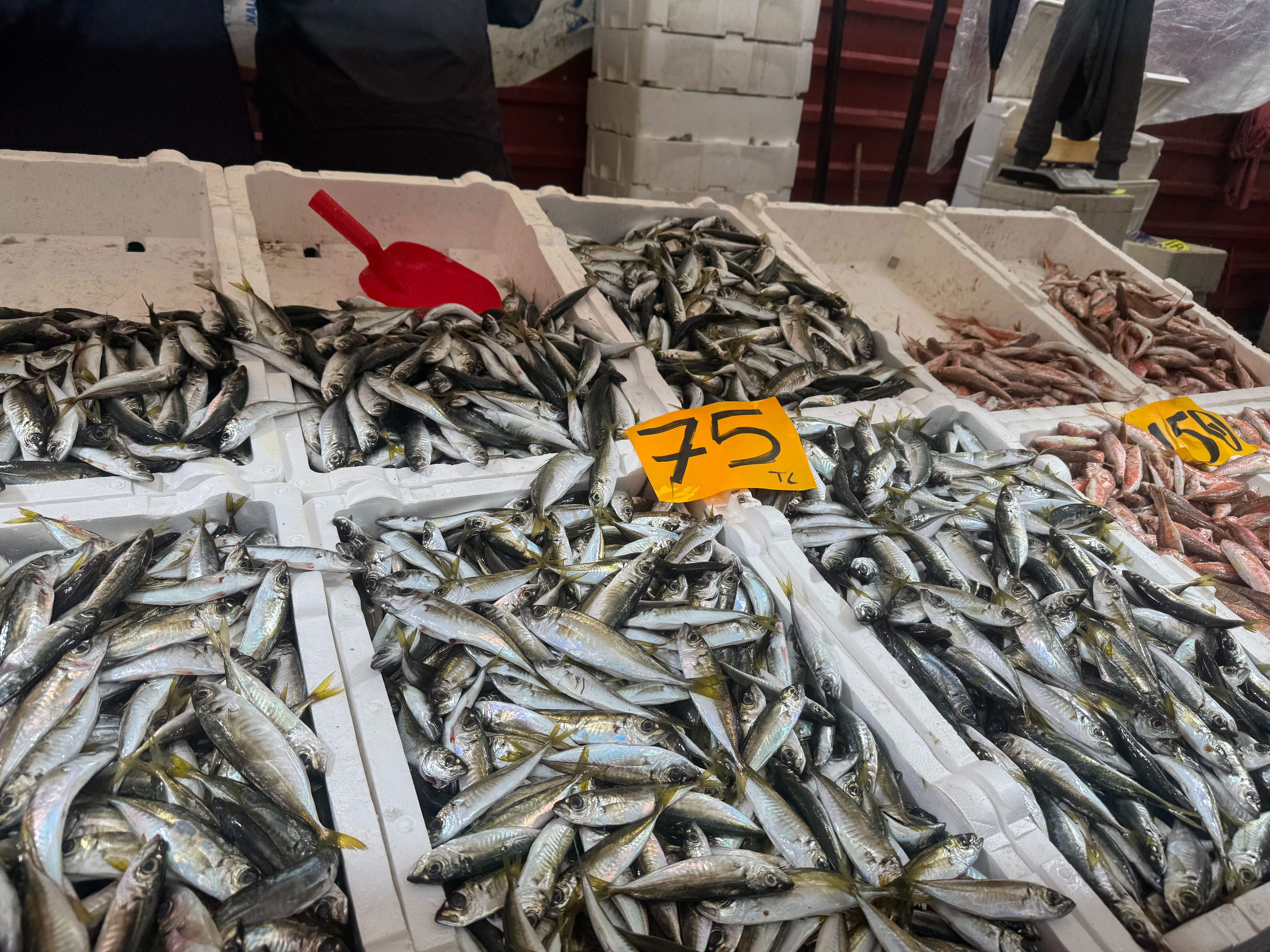 Ucuz fiyatı gören koşa koşa gitti! Bisküvi 50 lira, bu 75 lira - 1. Resim