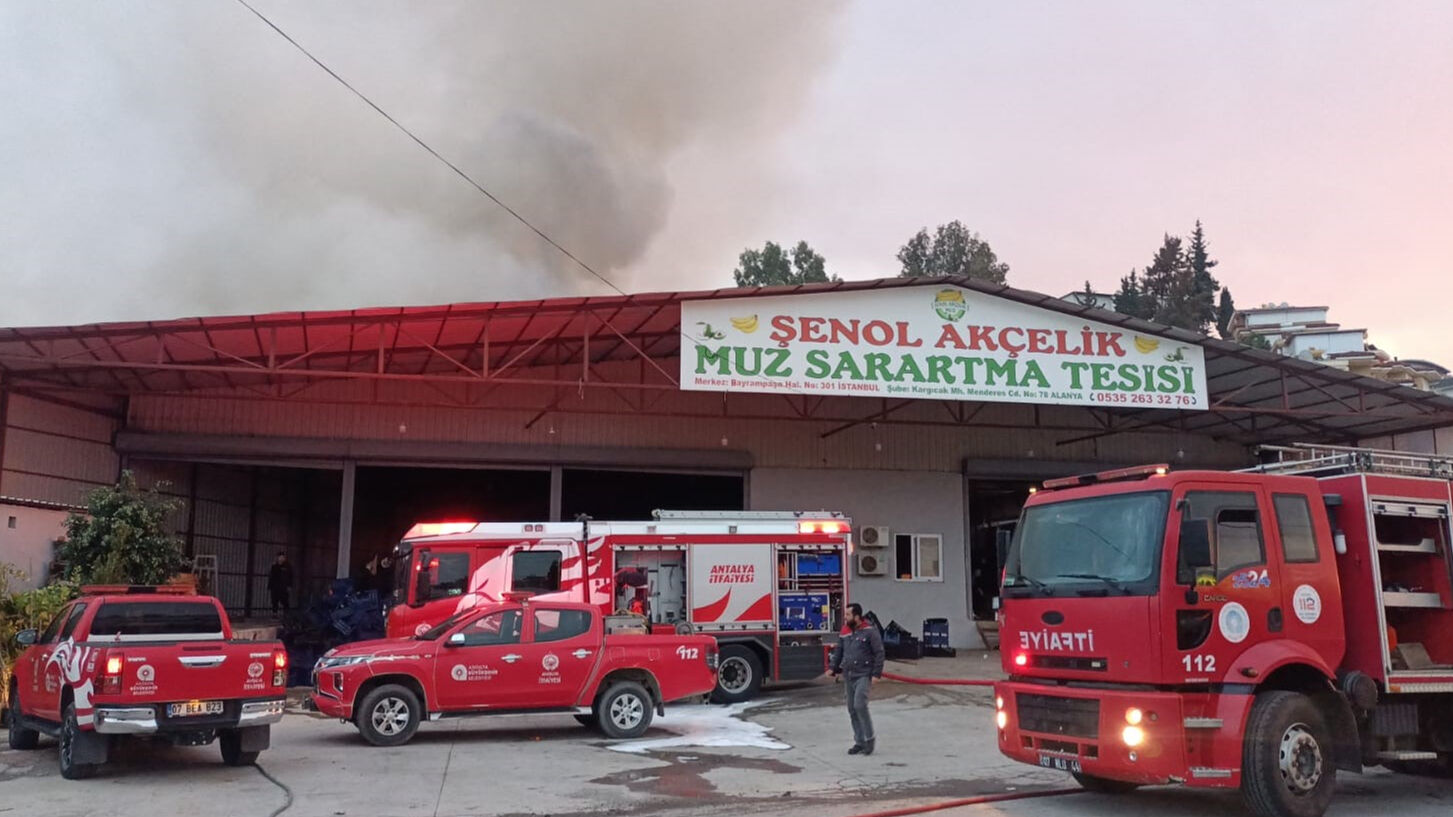 Antalya'da mobilya deposunda yangın! Alevler muz ve çiçek serasına sıçradı - 3. Resim