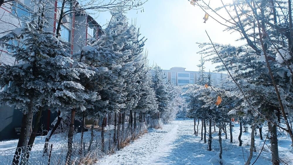 Meteoroloji'den hayati uyarı! Bugün başlıyor, birçok ilde etkili olacak - 2. Resim