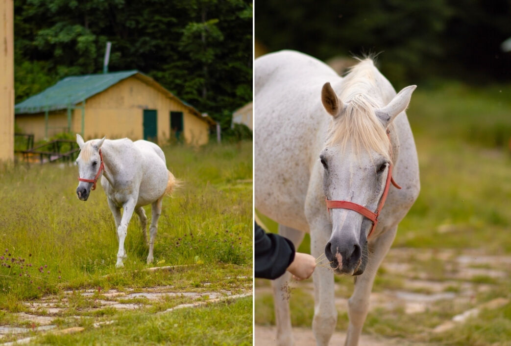 Sapanca gezilecek yerler listesi! İyi bir tatil için tavsiyeler... - 9. Resim