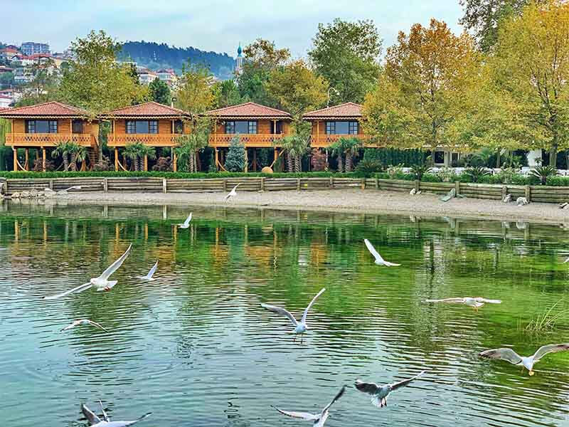 Sapanca gezilecek yerler listesi! Merak edilen rota... - 4. Resim