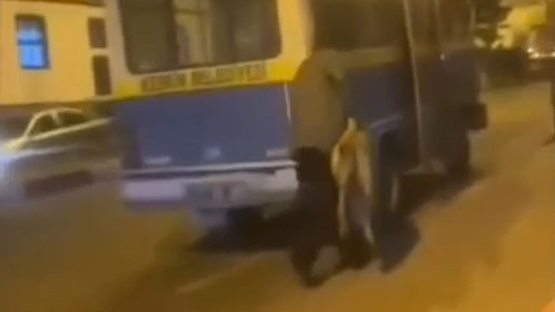 Uyuşturup, ilçe dışına bıraktılar! Sokak köpeğine yapılan müdahaleye tepki Uyuşturup, ilçe dışına bıraktılar! Sokak köpeğine yapılan müdahaleye tepki - 2. Resim