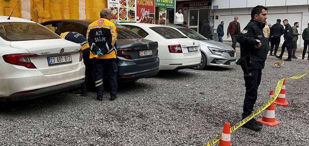 Görenler hemen ihbarda bulundu! Otomobilin kapısında ölü bulundu - 1. Resim
