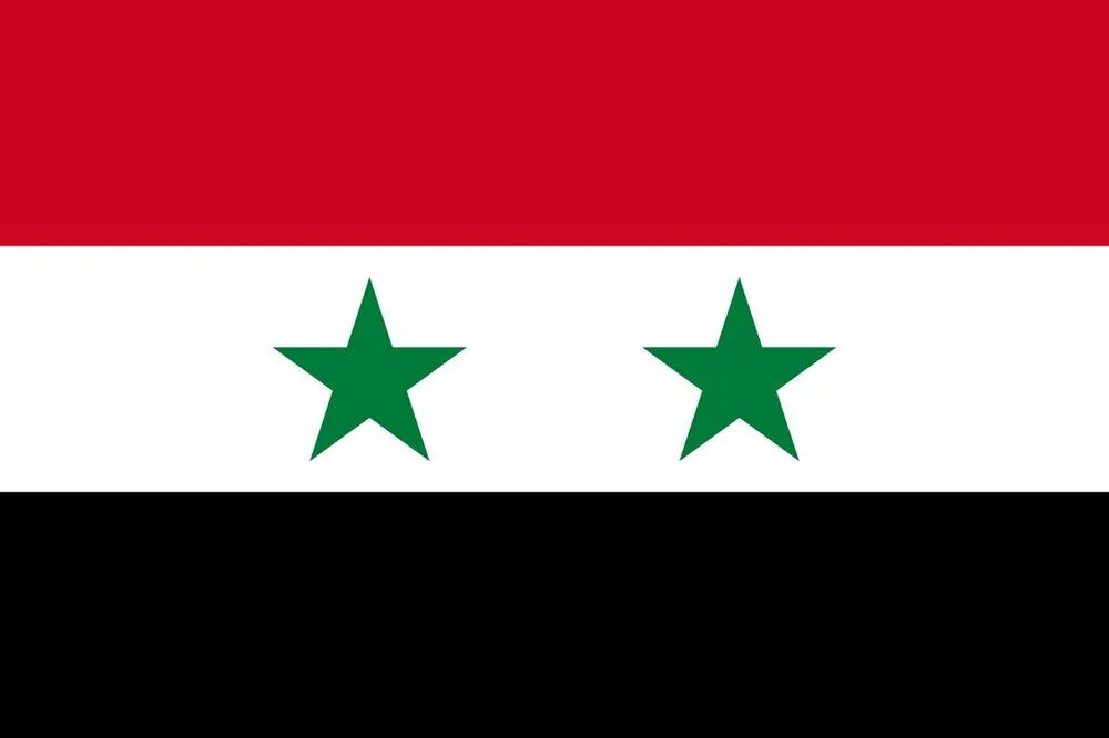 Esad rejimi sona erdi Suriye'de bayrak değişti - 2. Resim